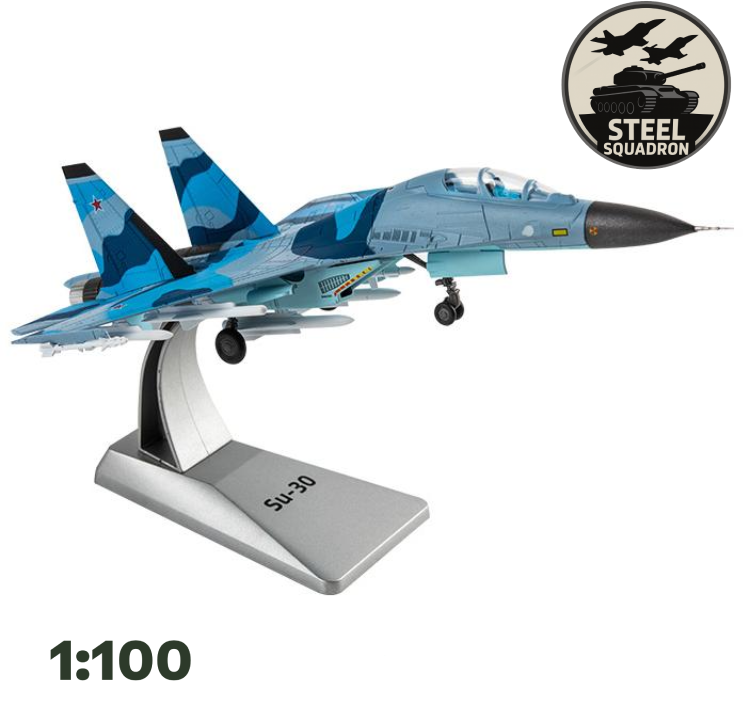 Russian SU-30 (1:100)